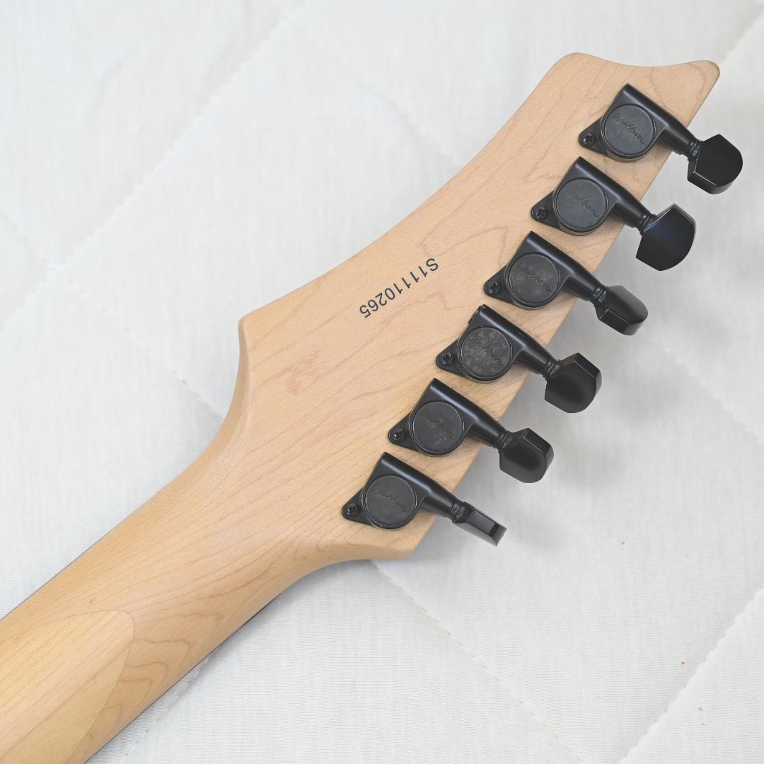 Washburn レア 虎目 エレキギター ブラック 動作確認OK G023