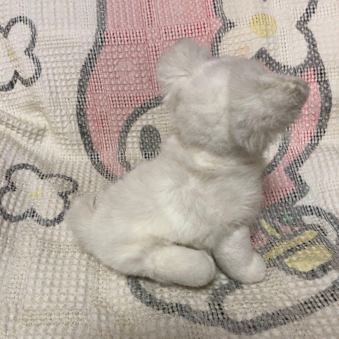 レトロ　チワワ　ぬいぐるみ　中古品　メーカー名不明