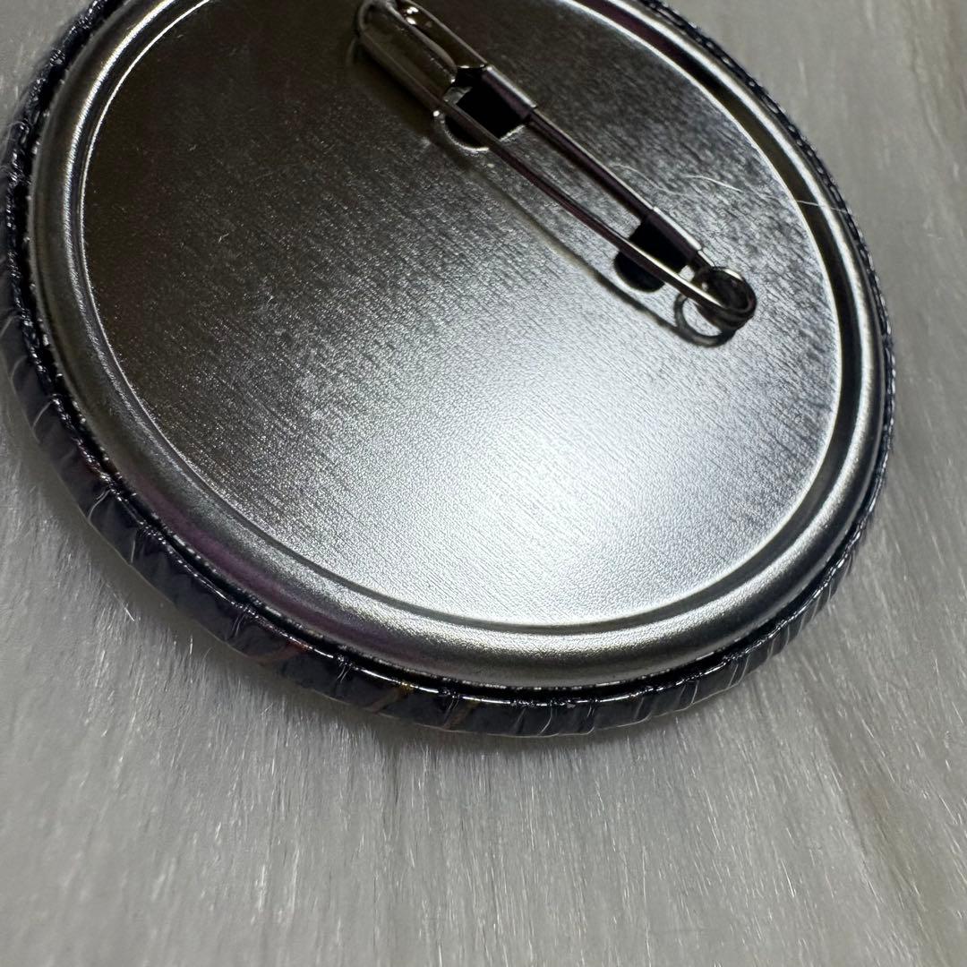 銀魂 ジャンプフェスタ2013 JF2013 アニプレックス くじ缶バッジ 希少