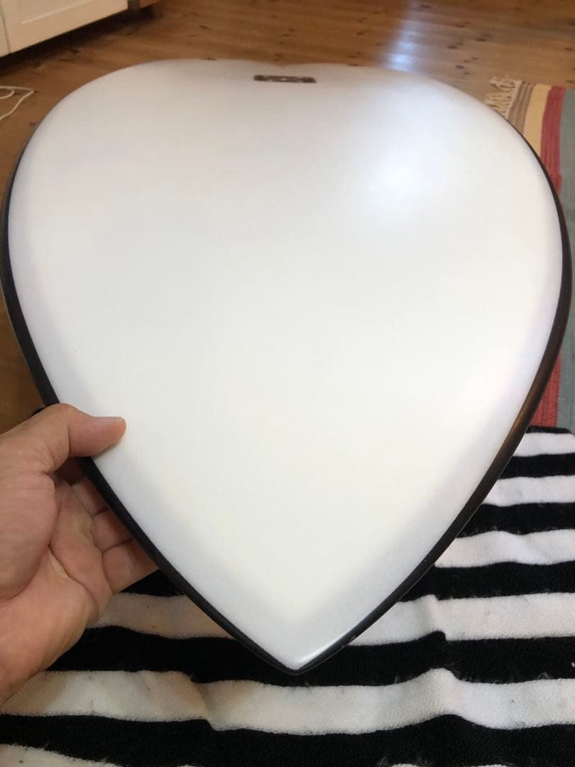 更に値引きしました。FIREWIRE ファイヤーワイヤーTOO FISH