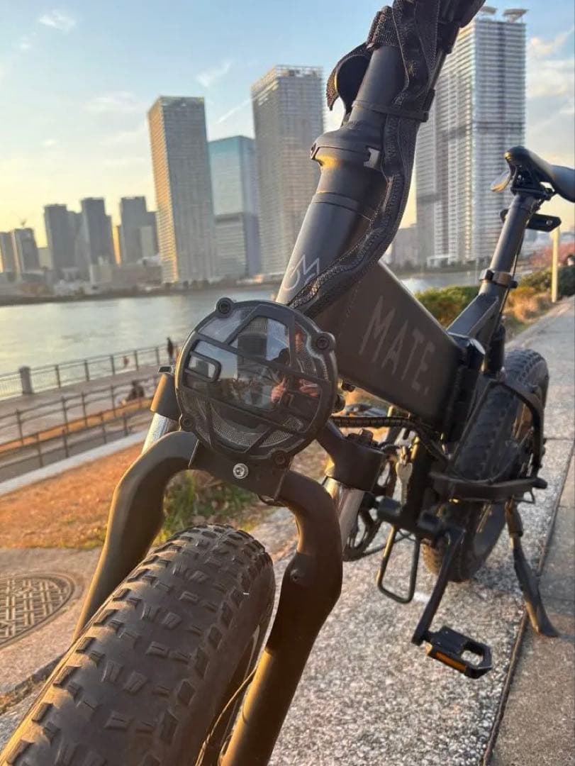 MATE X カスタム多数　電動アシスト　ブラック