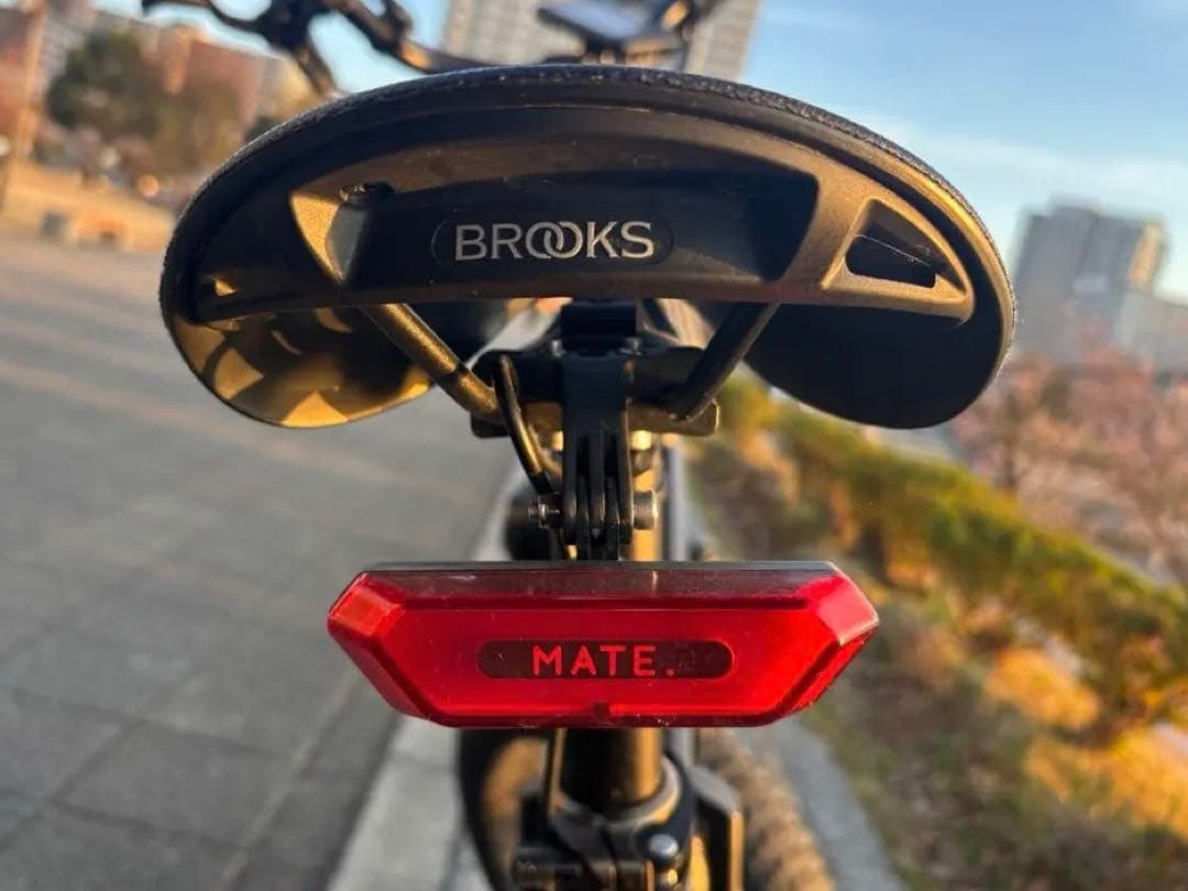 MATE X カスタム多数　電動アシスト　ブラック