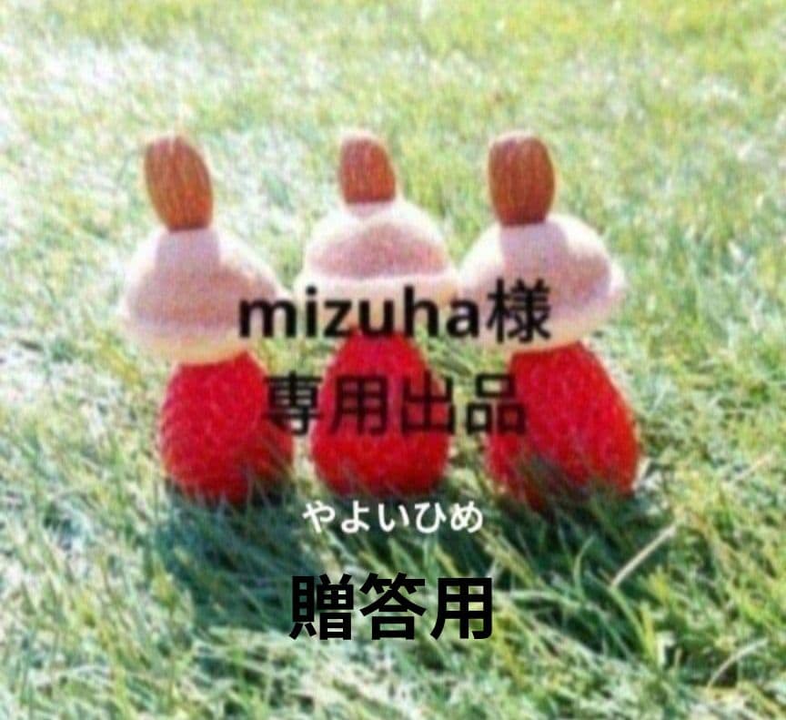 mizuha やよい贈答二箱