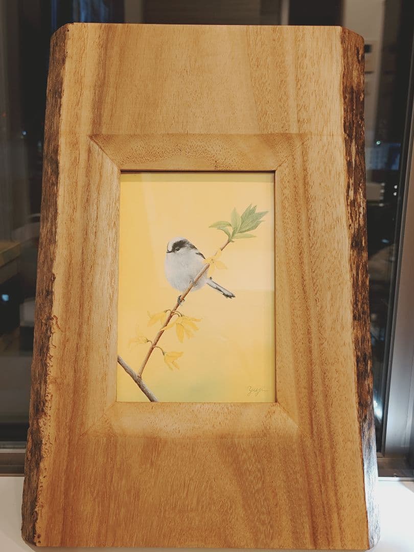 エナガ　谷上裕二