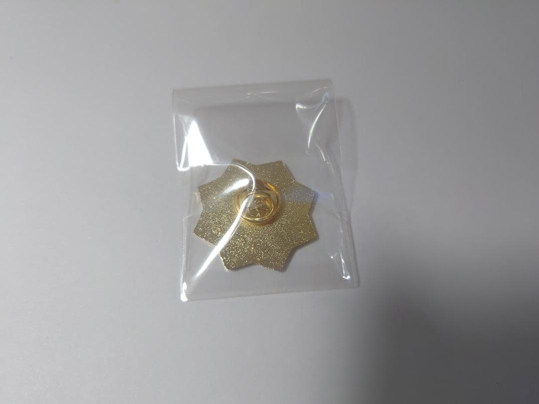 鬼滅の刃 柱展 柱百景 コレクションピンズ 不死川実弥 不死川玄弥