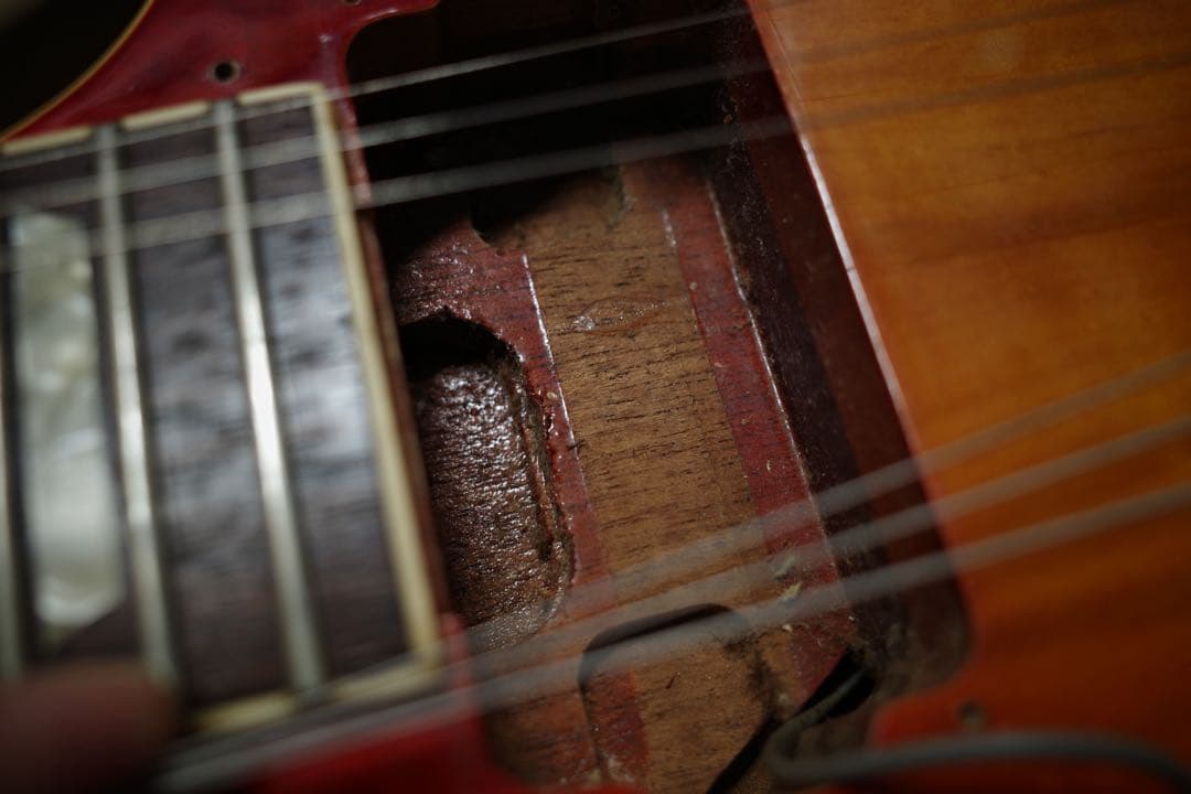 Tokai Reborn Old 1980 /LS-60:LS-80ハイブリッド