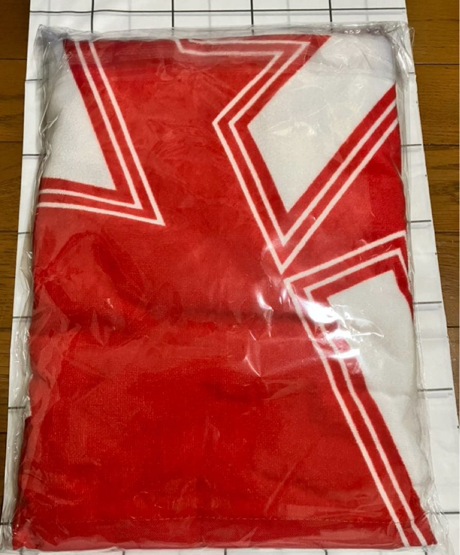 11/9東京ドーム公演⭐️矢沢永吉 PSS席限定グッズ一式　激レア！非売品⭐️