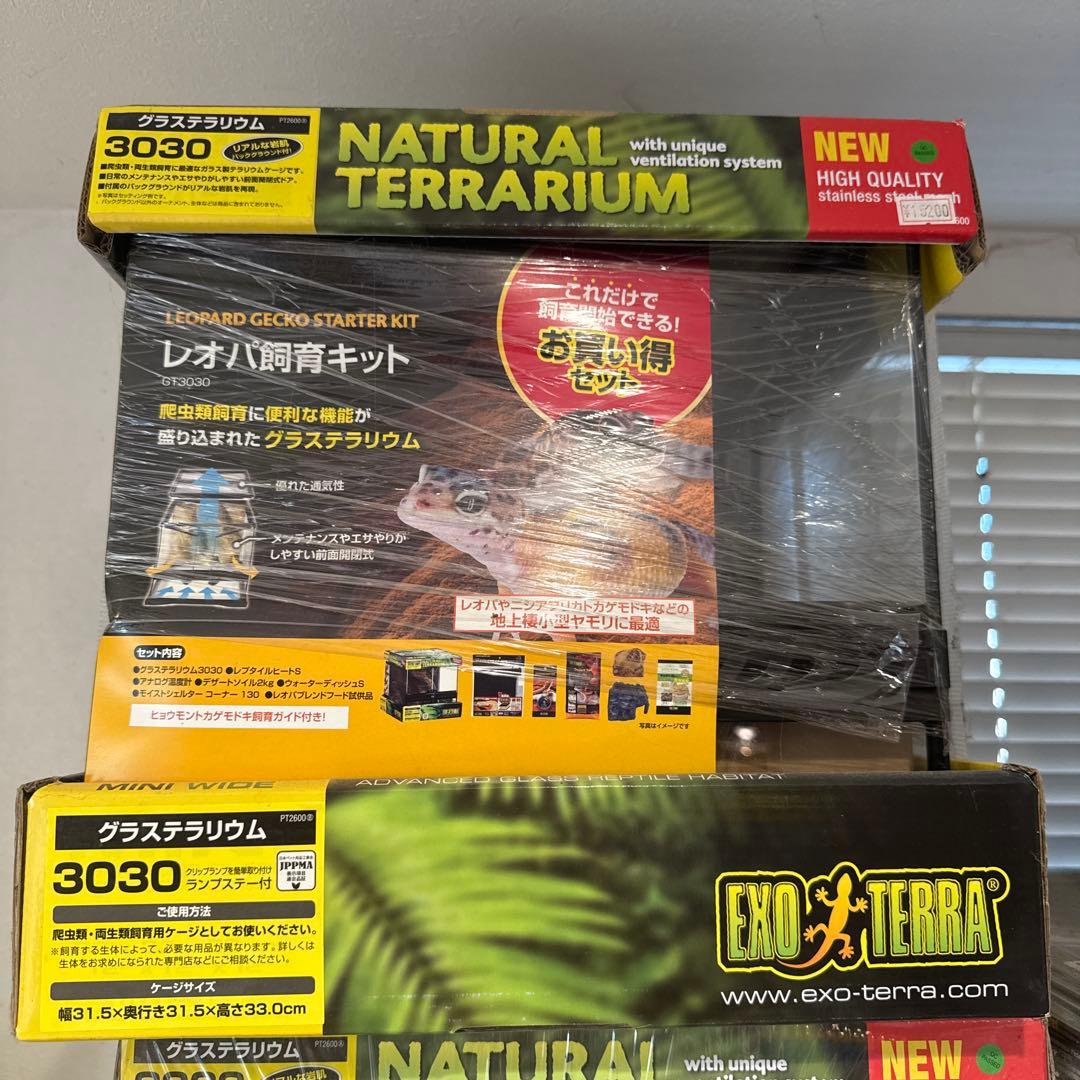 Exo Terra 3030 レオパードゲッコースターターキット