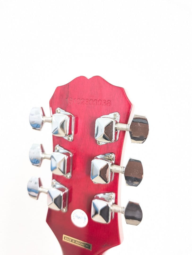 【美品・良好】Epiphone SG Special GT KillPot 搭載