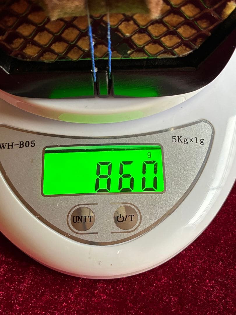 二胡★中古品★黒檀★無傷★十年保証★必需品揃い★100％評価