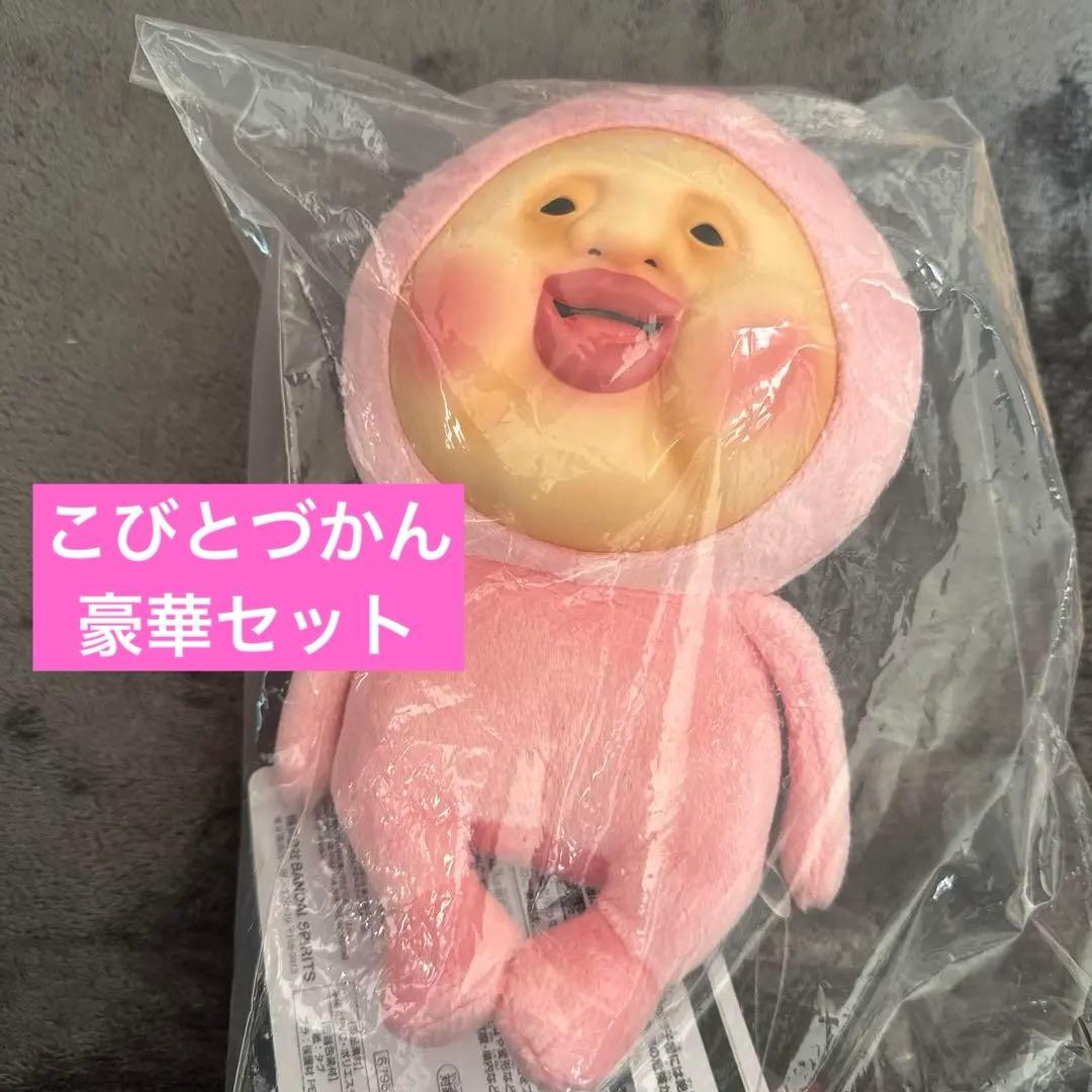 【値下げ交渉◎】こびとづかん 豪華セット
