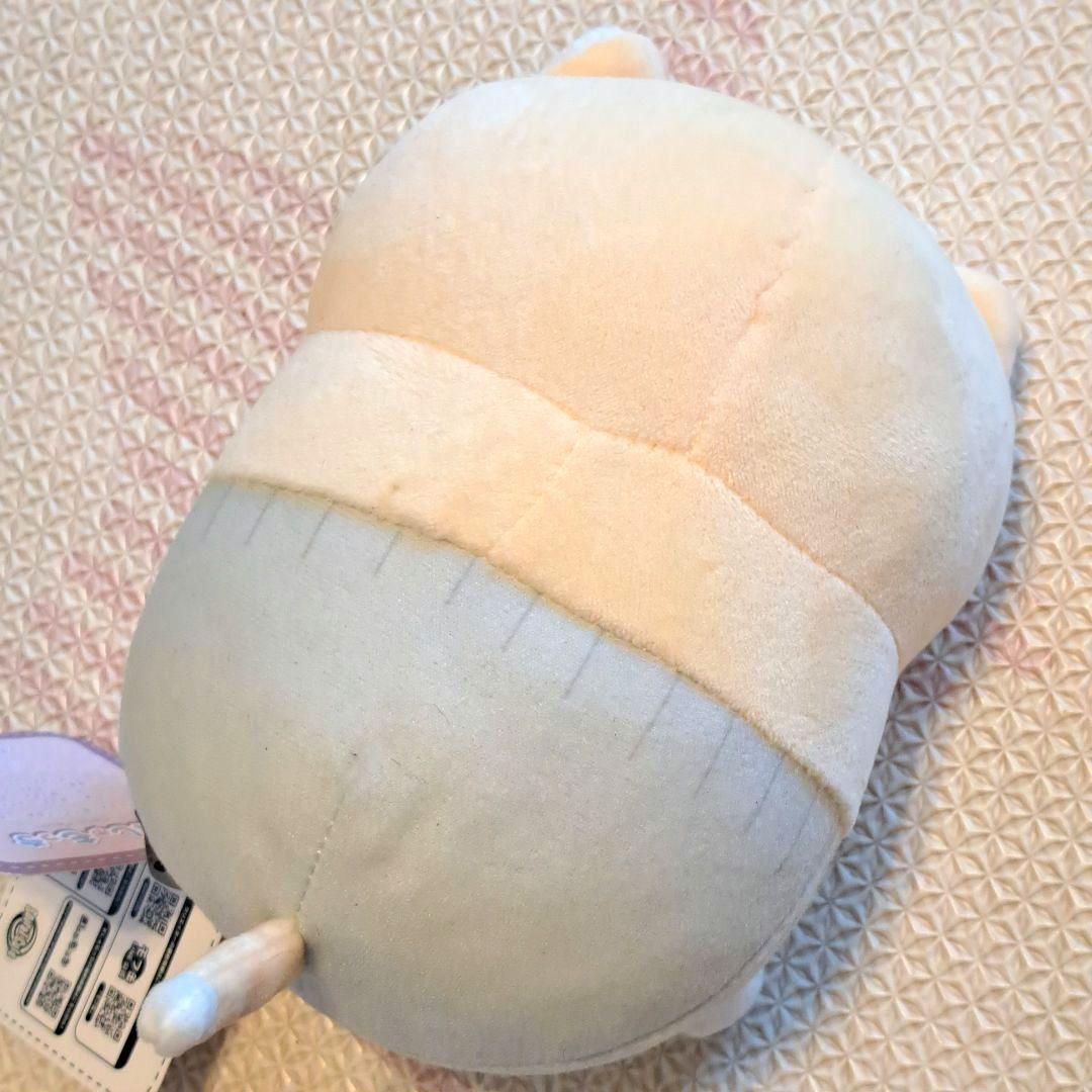 泣きむし猫のキィちゃん　ましゅもっち　ねこ ぬいぐるみ タグ付き　ネコ　レア