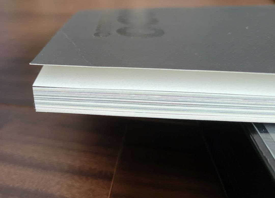 レオナルド　限定生産 写真集＆ビデオ