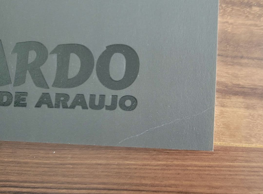 レオナルド　限定生産 写真集＆ビデオ