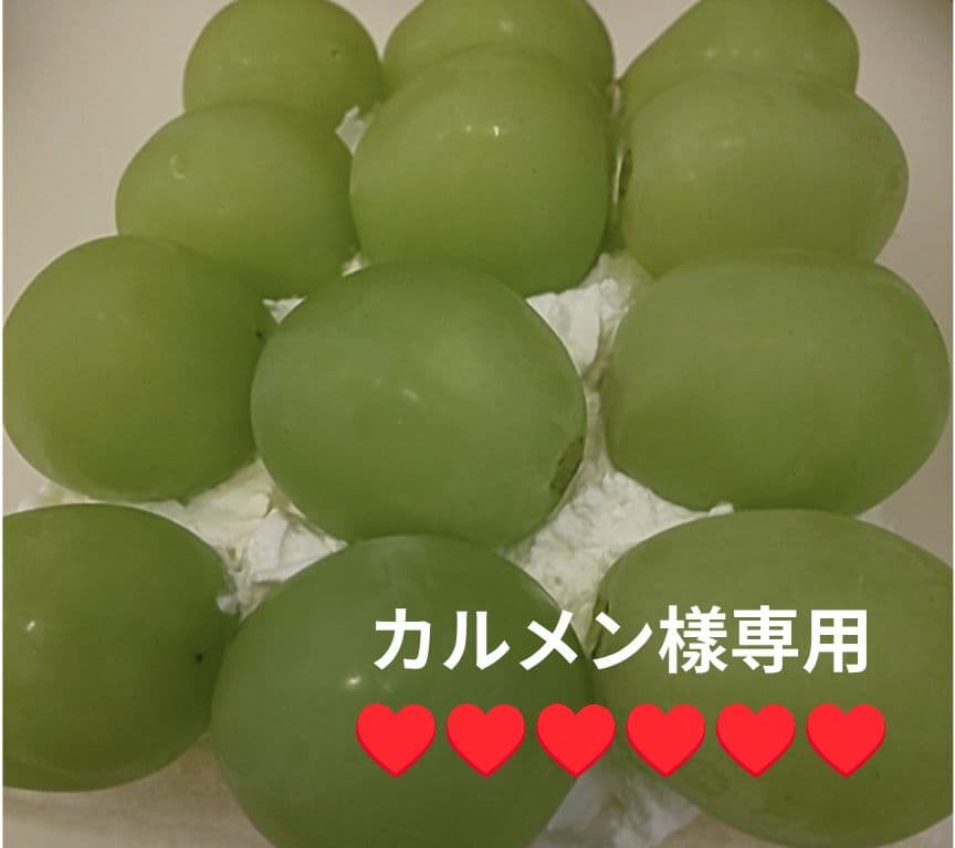 焼き立てパン詰め合わせ♬カルメン樣専用♥order♡22日製造日発送