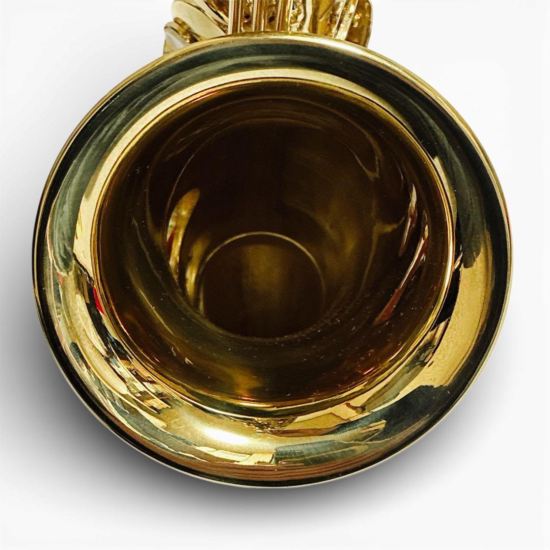 J.Michael アルトサックス バンドーレン　V16 A5 S 入門用