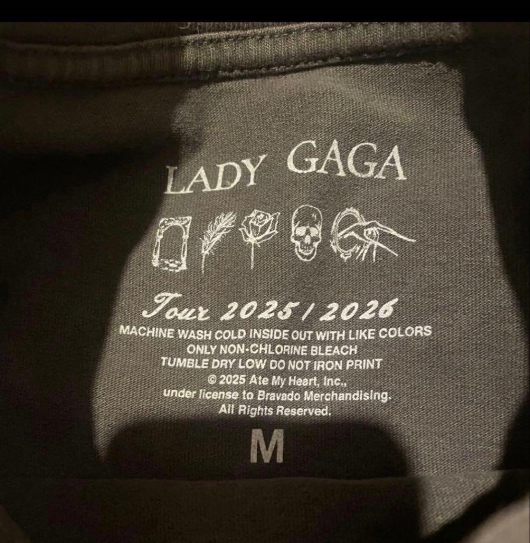ミュージシャン Lady Gaga Rose T