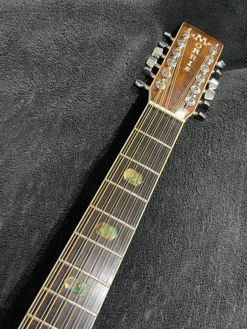 Morris B-50 縦ロゴ ハカランダ 12弦アコースティックギター