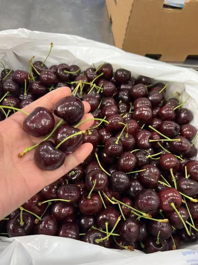 NZ産空輸生鮮桜桃1箱約2.0ｋｇ左右　チェリー、さくらんぼ