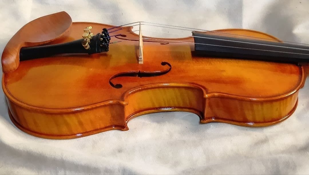 弦楽器 Alexander Violins VL250 4/4 Los Angeles