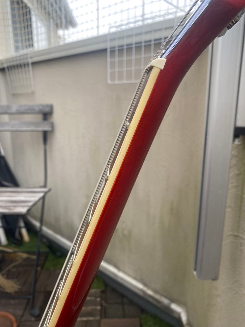 ギター Bacchus BLP-FMH/R(Live Road MODEL)