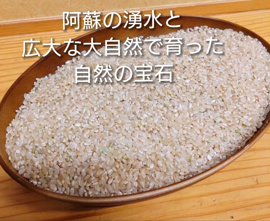 1 令和7年 自然栽培米 亀の尾10kg玄米