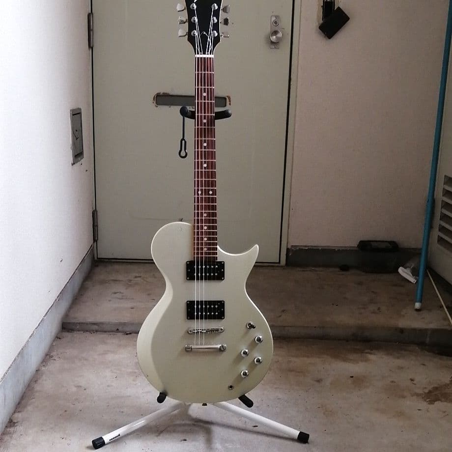 aria pro2のBurnyダブルカッタウェイ調整済み激鳴り