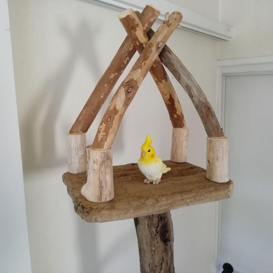 fm バードアスレチックジム 天然木 自然木 流木 止まり木 インコ