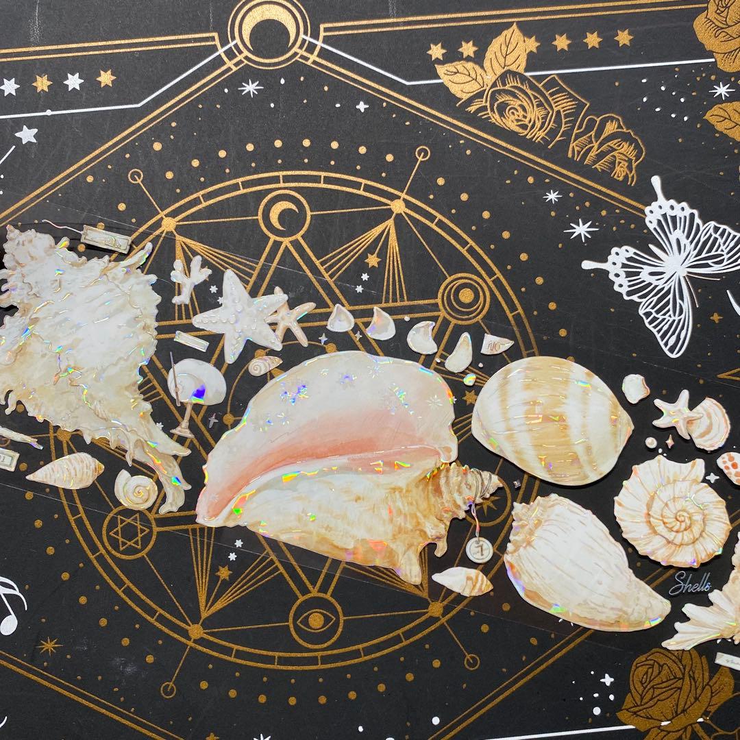 【9262】海外　マステ　中古巻　貝殻光マスキングテープ　貝　装飾系