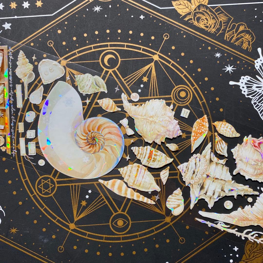 【9262】海外　マステ　中古巻　貝殻光マスキングテープ　貝　装飾系