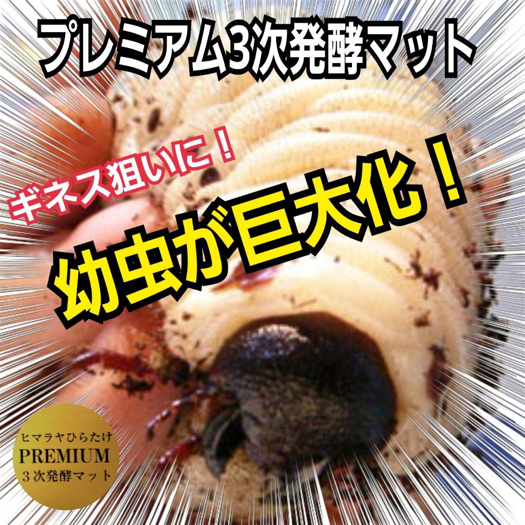 カブトムシ幼虫が巨大化！プレミアム3次発酵マット【70リットル】産卵にも抜群！