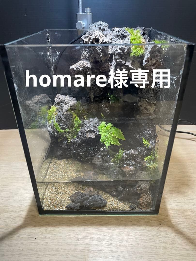 滝のあるアクアテラリウム