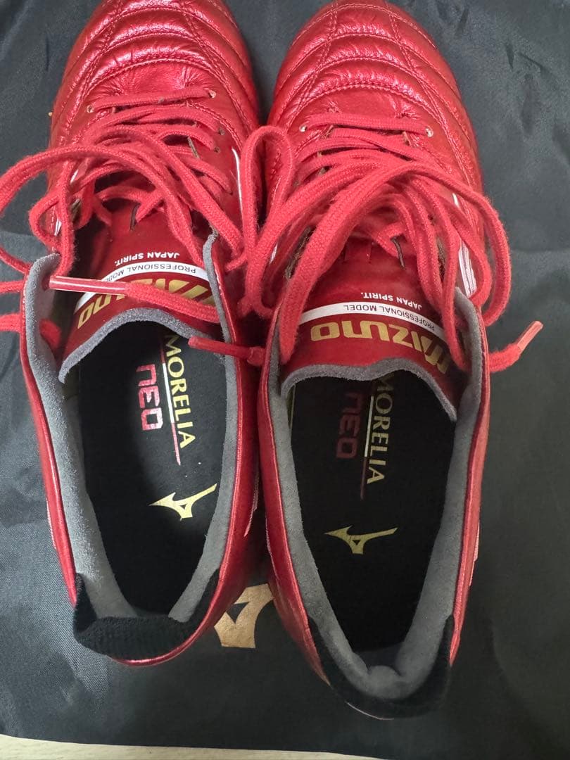 40周年記念モレリアネオ4 ミズノ　24.5センチ