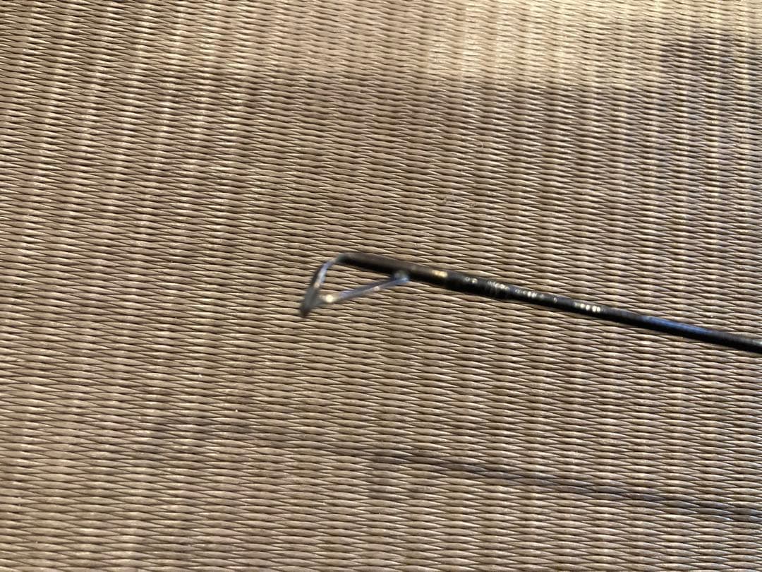 アブガルシア　エラディケーター ゼノモーフ ビッグチャップ