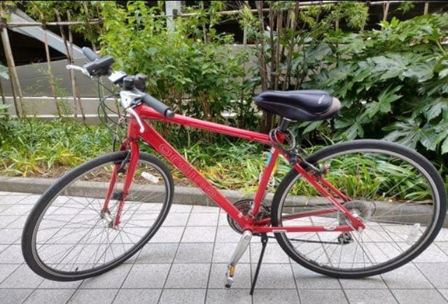 ブリヂストンのクロスバイク　ordina（オルディナ）NS548 Fファイヤー