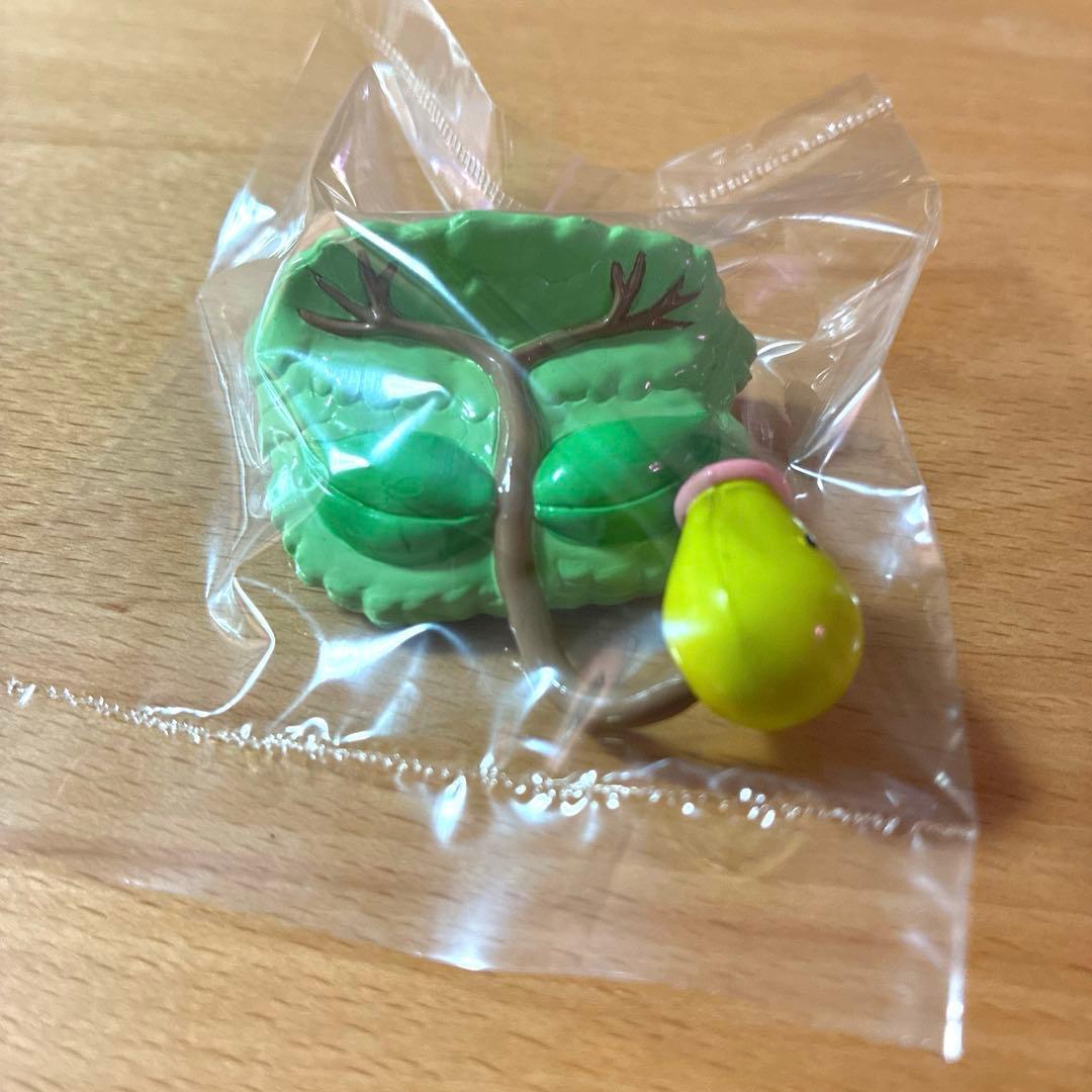 ポケットモンスター ポケモン モンコレ マダツボミ ウツドン ウツボット