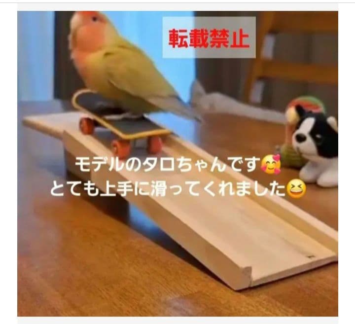 33⭐　ミニバードアスレチック 滑り台大サイズ‼　 バードトイ　インコ