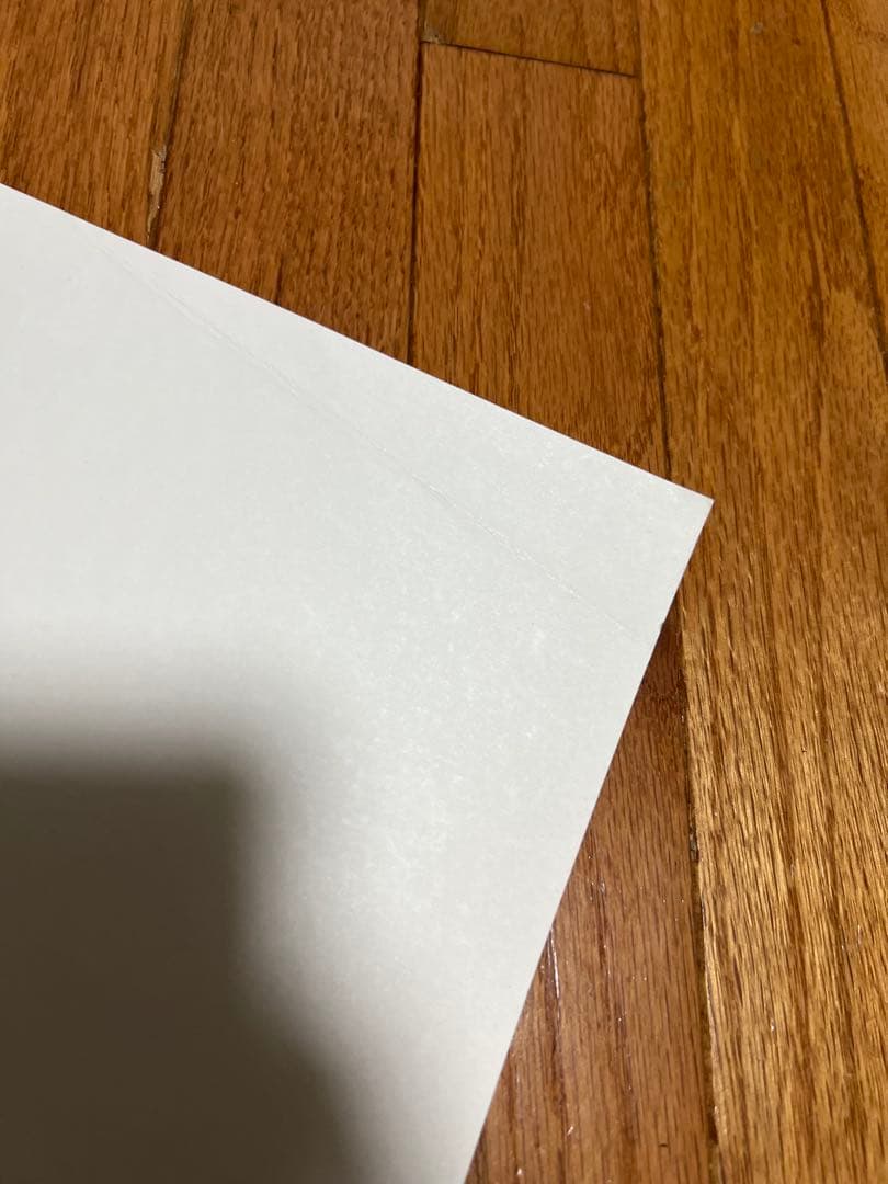 VOLCOM 限定品 Todd Bratrud 100枚限定 サイン入りポスター