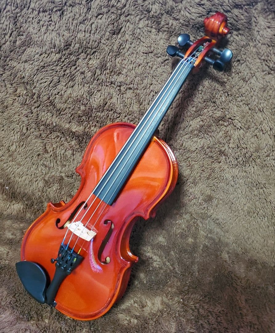 【美品】1/10サイズ カルロジョルダーノ VS―1 分数バイオリン