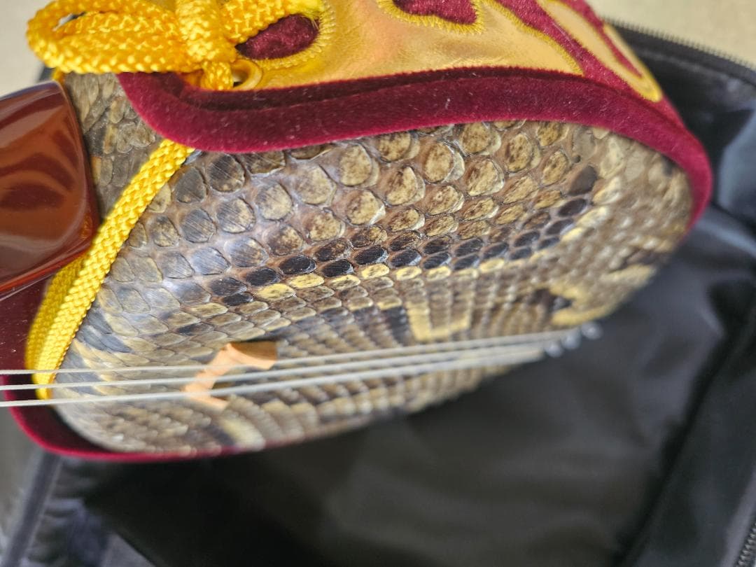 沖縄 三線　蛇皮 ソフトケース、ツメ付き 強化