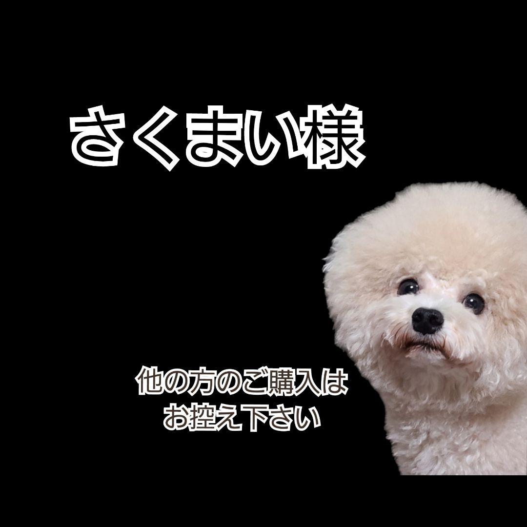 【さくまい】AZ アゼット ラム 10kg