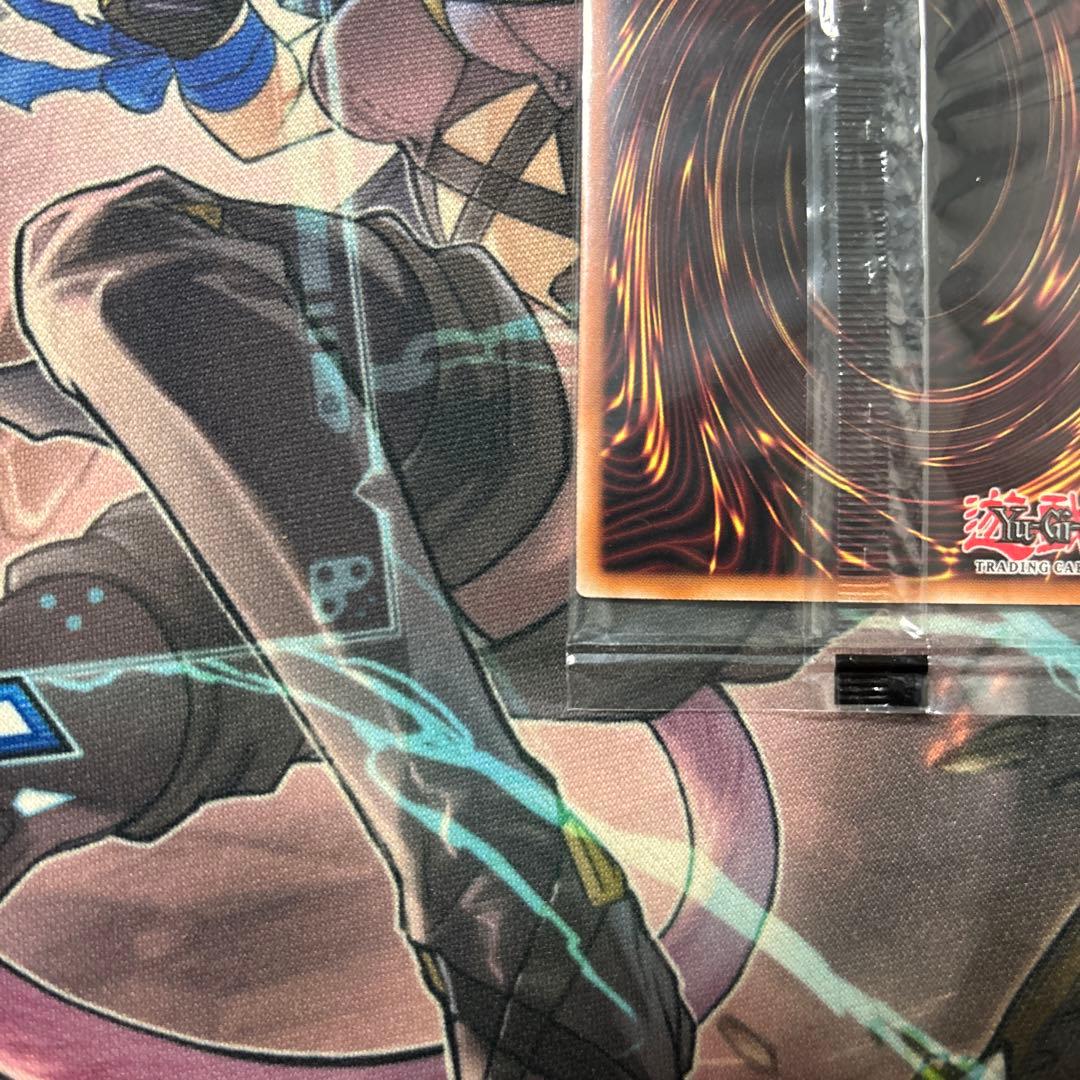 日本選手権 2024 2期 優勝プロモ