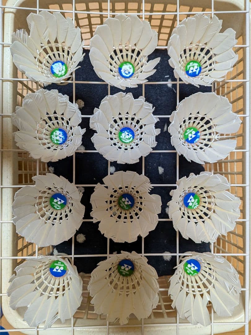 バドミントン中古シャトル120球