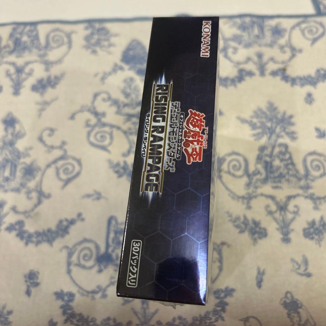遊戯王OCG デュエルモンスターズ RISING RAMPAGE ボックス日本