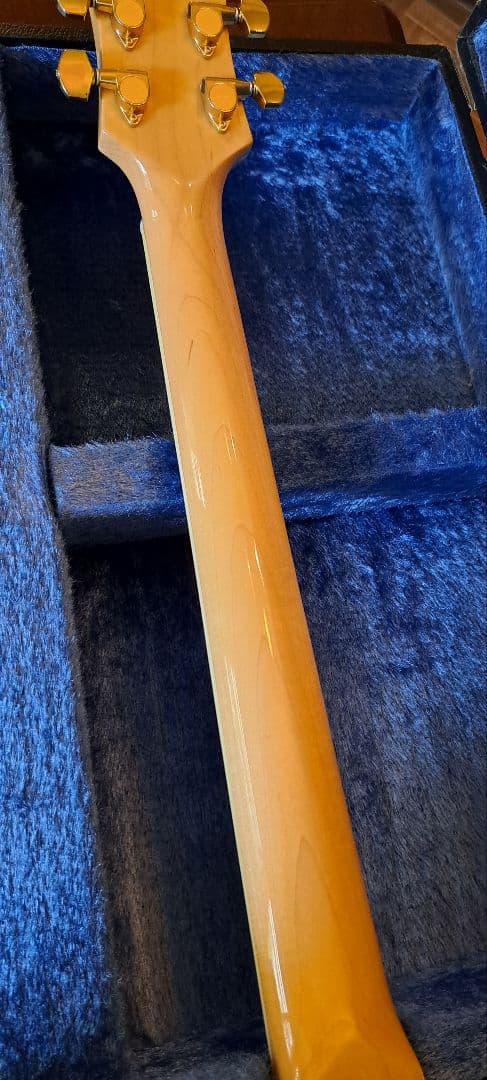 masaya.専用フェルナンデス MGサイケデリック　ハードケースセット