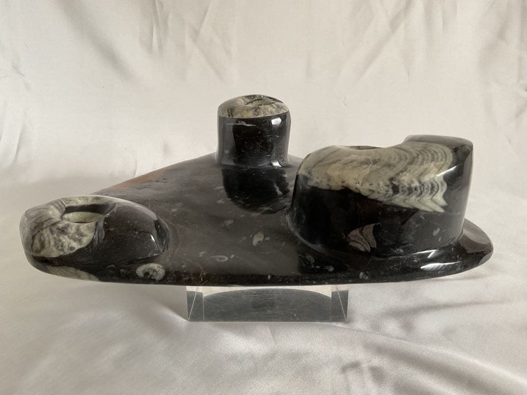 大理石アンモナイト化石の装飾/手彫り