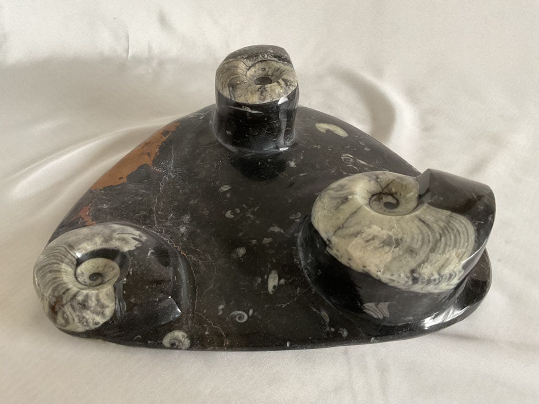 大理石アンモナイト化石の装飾/手彫り