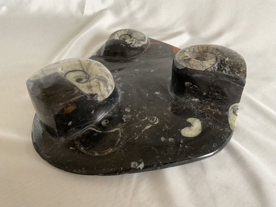 大理石アンモナイト化石の装飾/手彫り