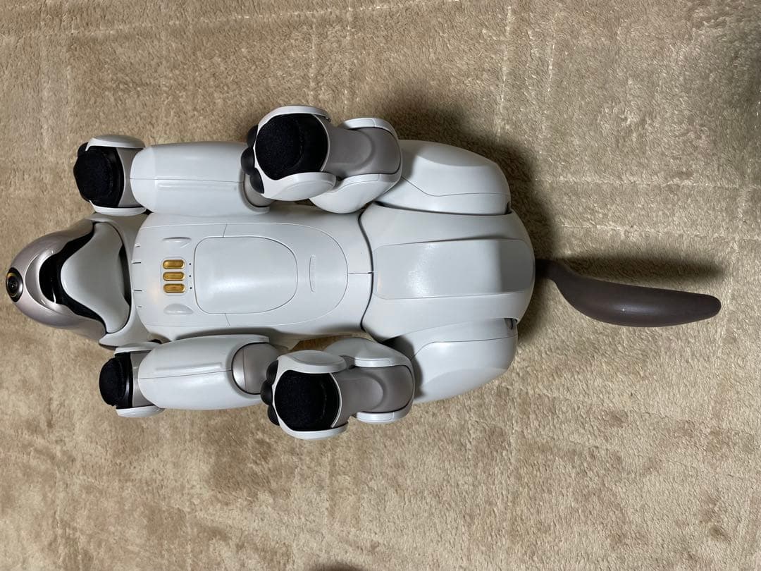 Sony aibo ERS-1000 aibo（アイボ）