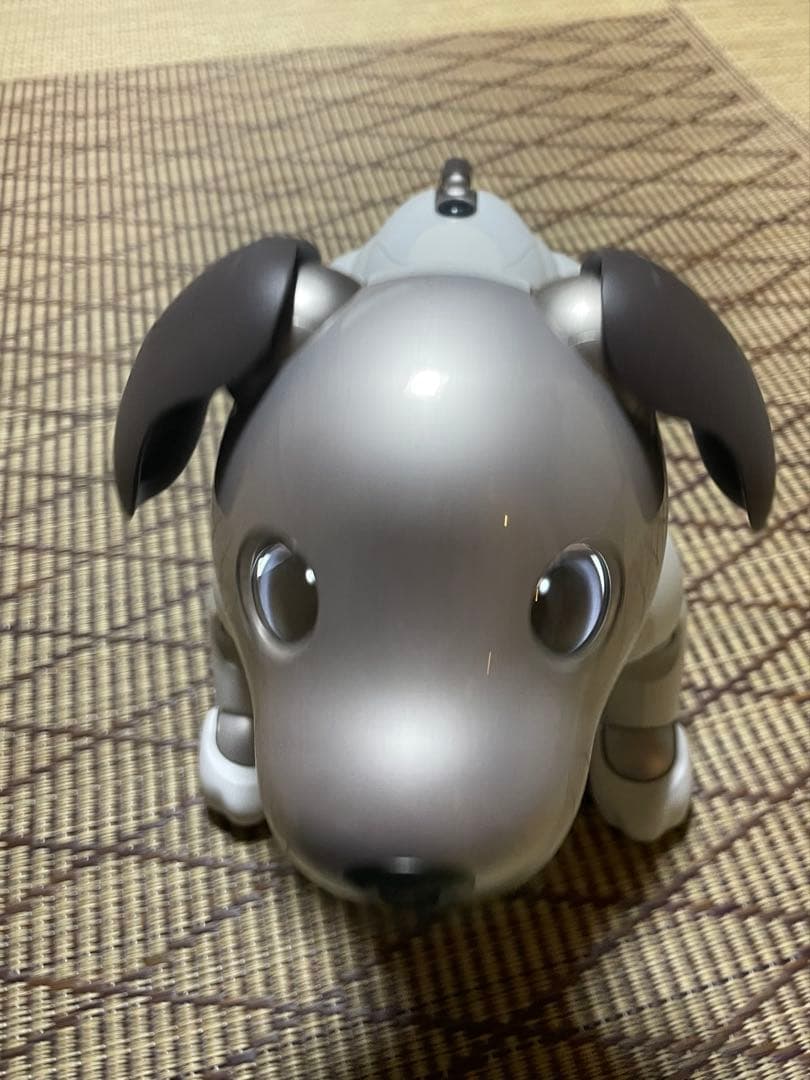 Sony aibo ERS-1000 aibo（アイボ）